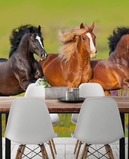 Fondo de pantalla de Tres caballos corriendo en un campo de brezo