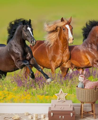 Fondo de pantalla de Tres caballos corriendo en un campo de brezo