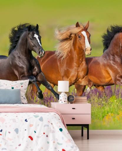 Tre hästar som körs i en Heather Field Bakgrund