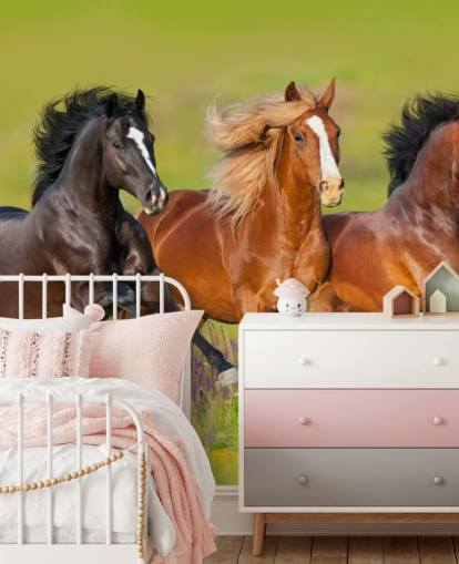 Three Horses Running in a Heather Field Wallpaper