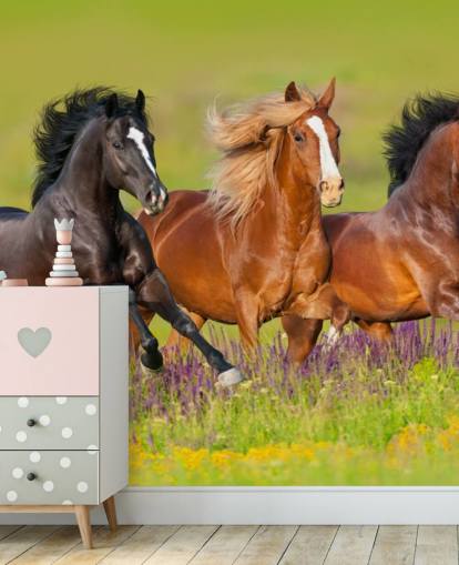 Fondo de pantalla de Tres caballos corriendo en un campo de brezo Fondo de pantalla de Tres caballos corriendo en un campo de brezo