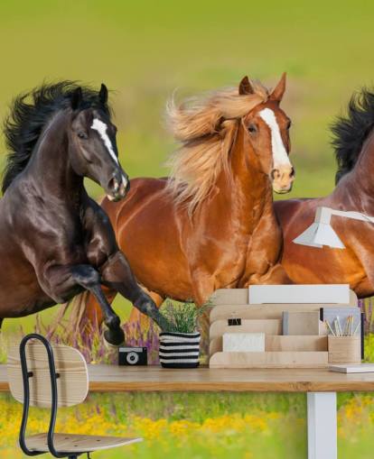 Three Horses Running in a Heather Field Wallpaper