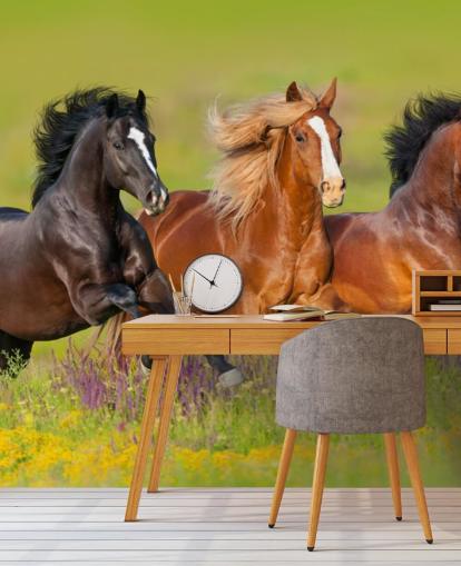 Fondo de pantalla de Tres caballos corriendo en un campo de brezo