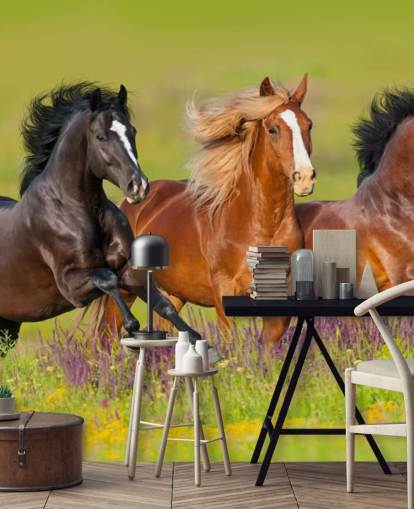 Three Horses Running in a Heather Field Wallpaper