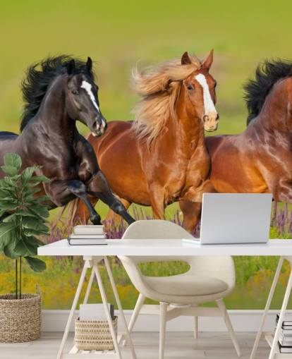 Three Horses Running in a Heather Field Wallpaper Three Horses Running in a Heather Field Wallpaper
