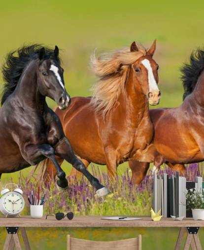 Três cavalos correndo em um papel de parede de campo de urze