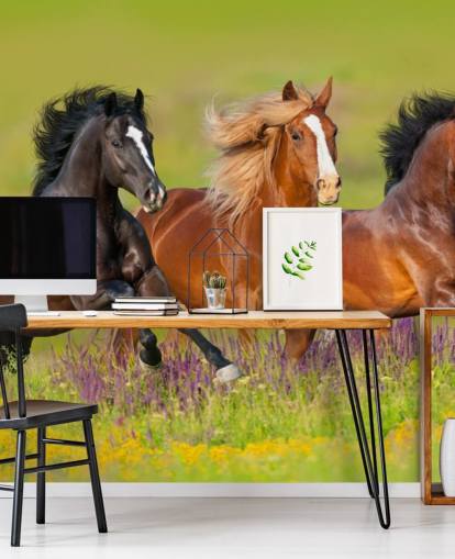 Fondo de pantalla de Tres caballos corriendo en un campo de brezo