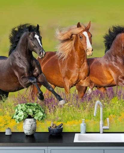 Fondo de pantalla de Tres caballos corriendo en un campo de brezo