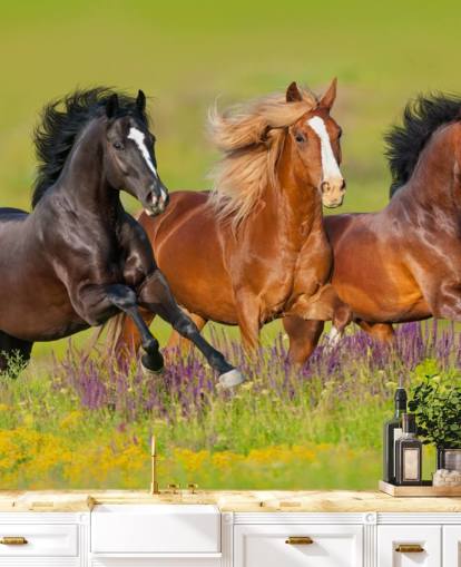 Kolme hevosta juoksevat Heather Field -taustakuvassa Kolme hevosta juoksevat Heather Field -taustakuvassa
