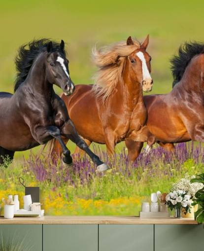 Three Horses Running in a Heather Field Wallpaper
