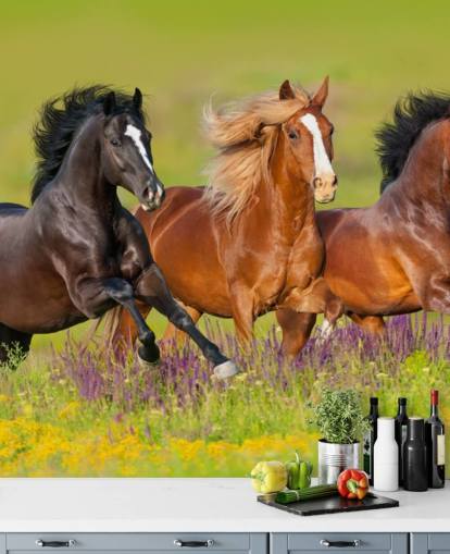 Três cavalos correndo em um papel de parede de campo de urze