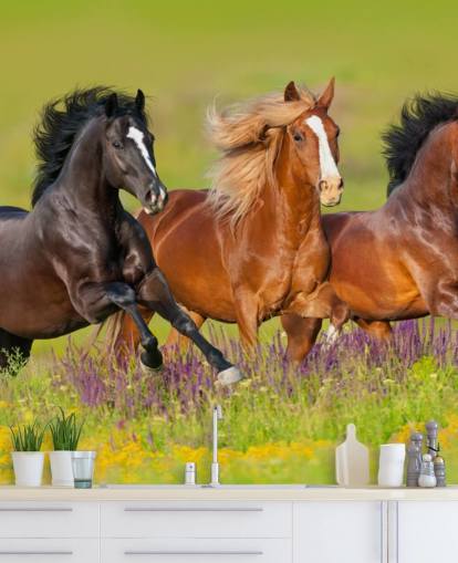 Fond d'écran de trois chevaux courant dans un champ de bruyère