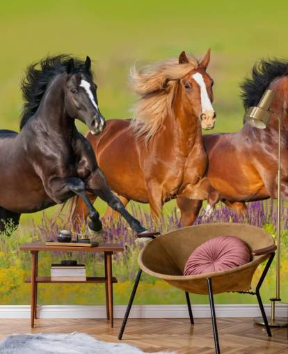 Fondo de pantalla de Tres caballos corriendo en un campo de brezo