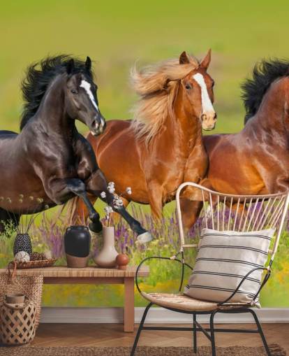 Three Horses Running in a Heather Field Wallpaper