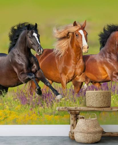 Three Horses Running in a Heather Field Wallpaper