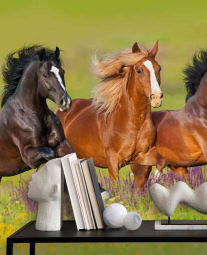 Three Horses Running in a Heather Field Wallpaper