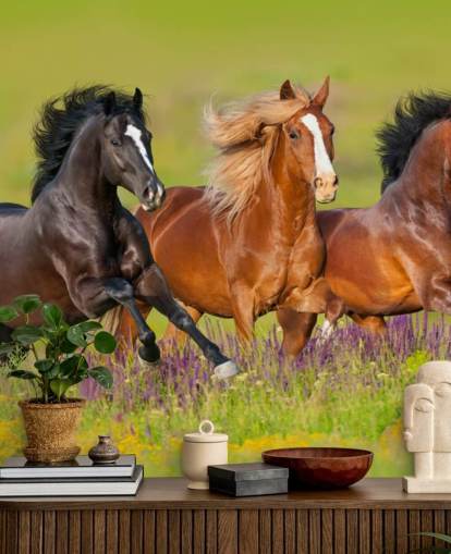 Three Horses Running in a Heather Field Wallpaper