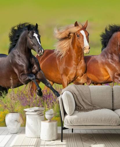 Fondo de pantalla de Tres caballos corriendo en un campo de brezo