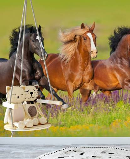 Kolme hevosta juoksevat Heather Field -taustakuvassa Kolme hevosta juoksevat Heather Field -taustakuvassa