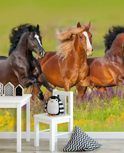 Três cavalos correndo em um papel de parede de campo de urze Três cavalos correndo em um papel de parede de campo de urze