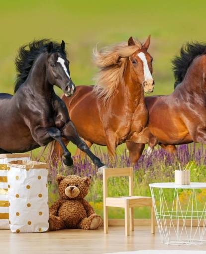 Three Horses Running in a Heather Field Wallpaper
