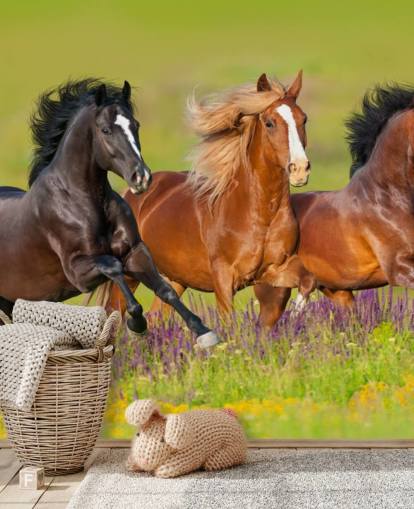 Três cavalos correndo em um papel de parede de campo de urze