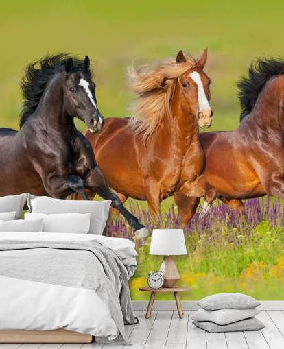 Fondo de pantalla de Tres caballos corriendo en un campo de brezo