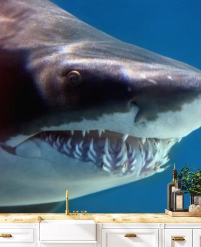 Décoration murale Scary Shark Smile Décoration murale Scary Shark Smile