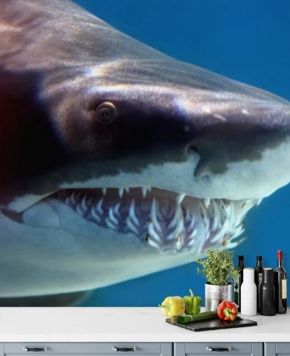 Scary Shark Smile Wall Mural