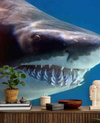 Decorazione murale con sorriso spaventoso squalo