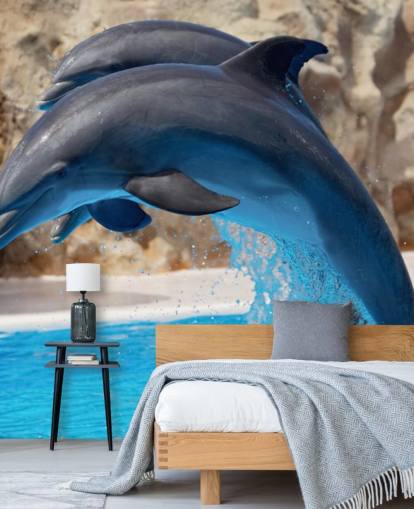 Fondo de pantalla Dos delfines en el zoológico Fondo de pantalla Dos delfines en el zoológico