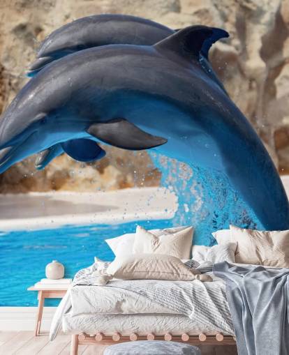 Fond d'écran Deux dauphins dans le zoo