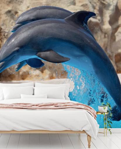 Two Dolphins in Zoo Wallpaper Two Dolphins in Zoo Wallpaper