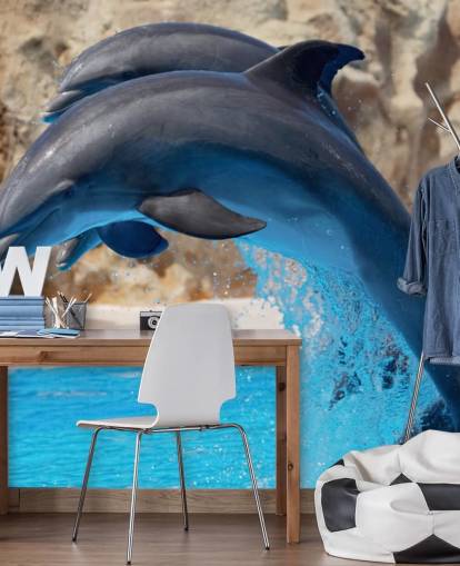 Two Dolphins in Zoo Wallpaper