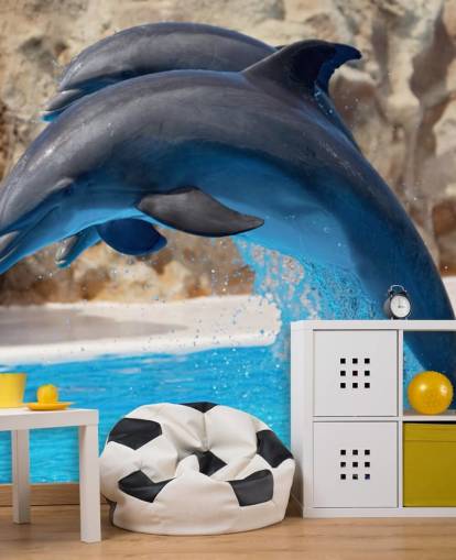 Fondo de pantalla Dos delfines en el zoológico Fondo de pantalla Dos delfines en el zoológico