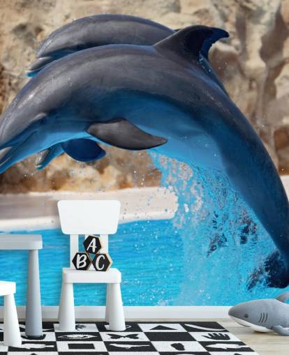 Fondo de pantalla Dos delfines en el zoológico