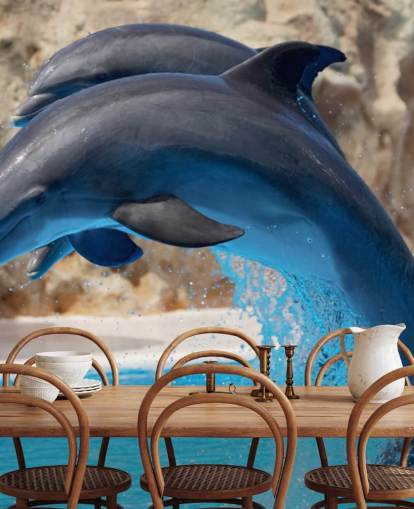 Two Dolphins in Zoo Wallpaper
