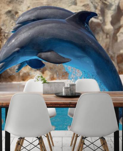 Two Dolphins in Zoo Wallpaper