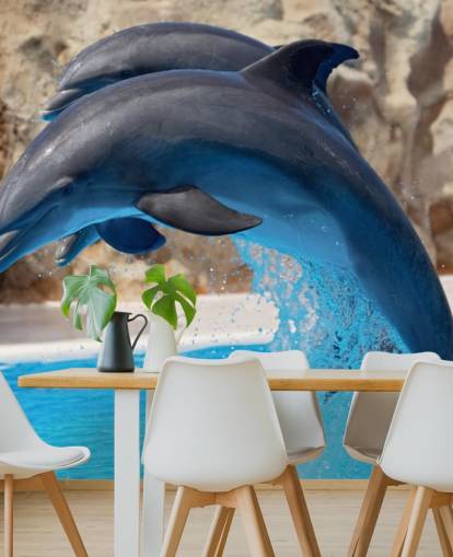 Two Dolphins in Zoo Wallpaper Two Dolphins in Zoo Wallpaper