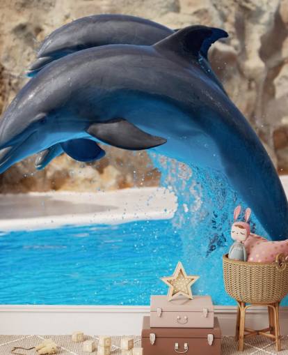 Fondo de pantalla Dos delfines en el zoológico Fondo de pantalla Dos delfines en el zoológico