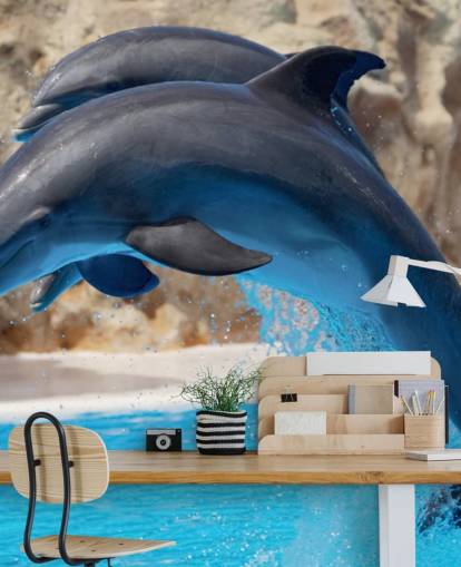 Fondo de pantalla Dos delfines en el zoológico