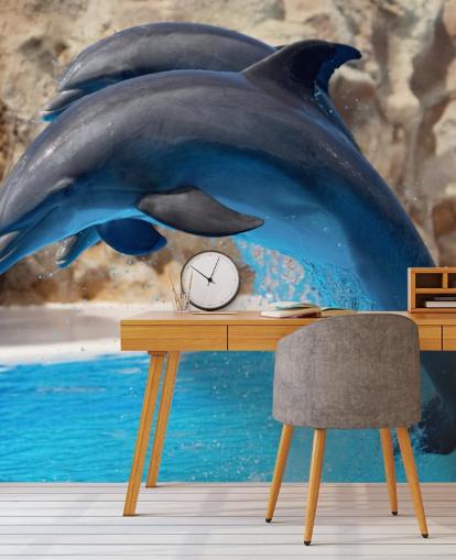 Two Dolphins in Zoo Wallpaper Two Dolphins in Zoo Wallpaper