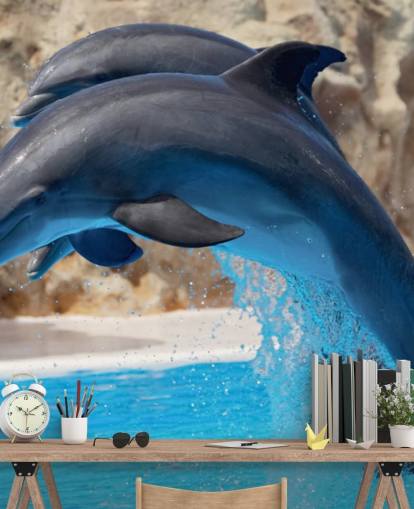 Two Dolphins in Zoo Wallpaper