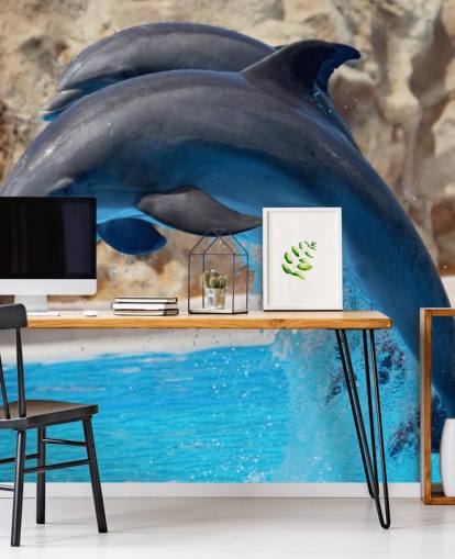 Fondo de pantalla Dos delfines en el zoológico