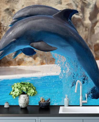 Two Dolphins in Zoo Wallpaper