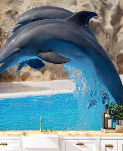 Fondo de pantalla Dos delfines en el zoológico Fondo de pantalla Dos delfines en el zoológico