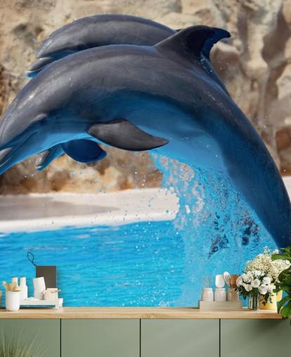 Fondo de pantalla Dos delfines en el zoológico