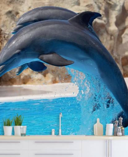 Two Dolphins in Zoo Wallpaper