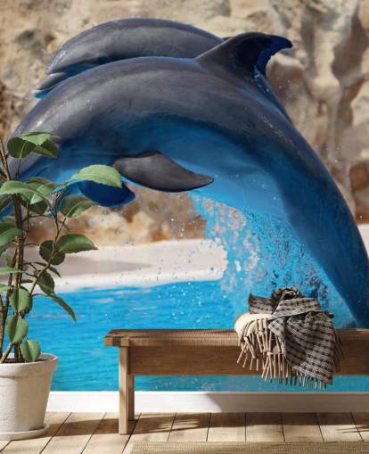 Two Dolphins in Zoo Wallpaper Two Dolphins in Zoo Wallpaper