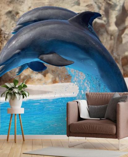 Two Dolphins in Zoo Wallpaper